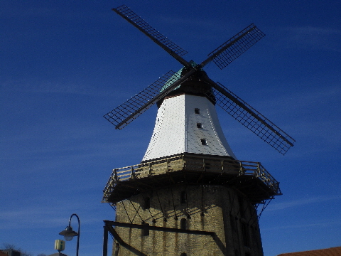 CIMG4027 CIMG4027